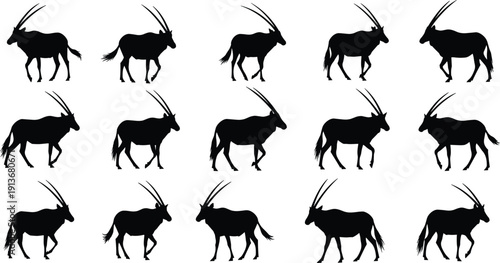 Black oryx antelope silhouette set, gemsbok wildlife animal walking sequence, african safari nature icons, isolated on white background, vector illustration
