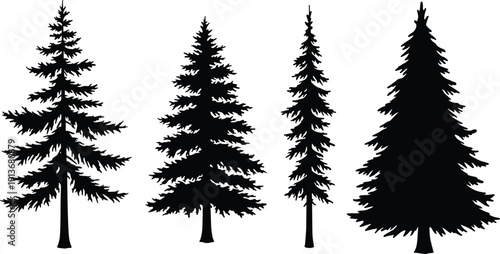 Silhouettes of diverse coniferous evergreen trees, pine spruce fir forest vector illustration, natural foliage shapes, forestry design elements, botanical landscape art