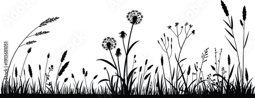Wild meadow grass and dandelion flowers silhouette border, natural field plants isolated black botanical landscape, flat vector illustration
