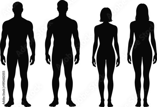 Male and female human body silhouettes, front and back view anatomy outline vector illustration isolated on white background, realistic proportion template set