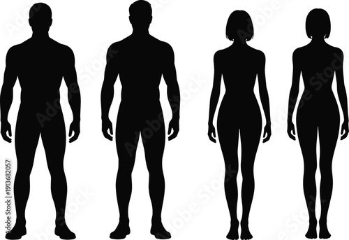 Male and female human body silhouette set, front view anatomy outline vector illustration isolated on white background, realistic proportion template design