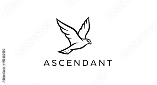 Minimalist falcon logo design with the word ascendant.