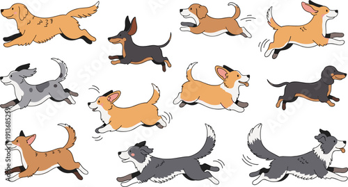 Different dogs run together in a playful scene