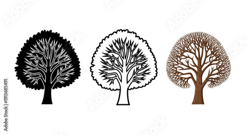 Collection of three distinct stylized deciduous tree illustrations showing silhouette outline and detailed brown bare branch artwork isolated on white background