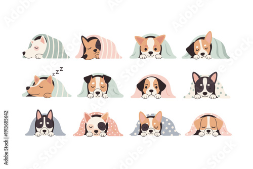 Dogs sleeping under blankets in a cozy arrangement