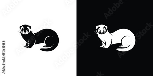Black and white ferret on contrasting backgrounds animal