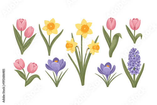 Spring flowers in various shapes and colors grouped together