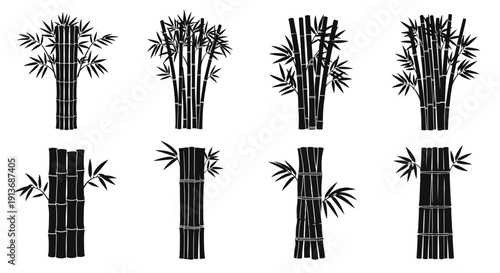 Bamboo stalks and plants in black silhouette on white background for design and decoration