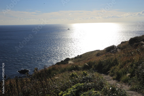 Wallpaper Mural 愛媛県愛南町　高茂岬の風景 Torontodigital.ca