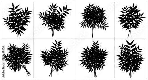 Set of eight black bush silhouettes on white background for design and decoration purposes