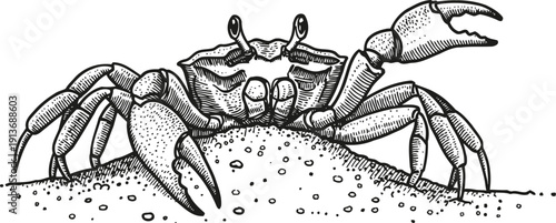 Hand drawn crab climbing out of sandy hole with detailed claws and legs illustration