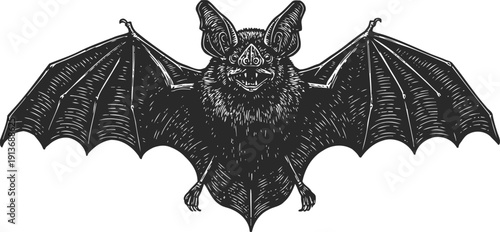 detailed bat illustration with spread wings night creature, flying mammal, nocturnal animal, wildlife drawing