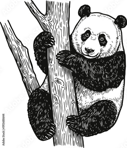 giant panda climbing tree black and white bear hanging on branch wildlife animal illustration in nature