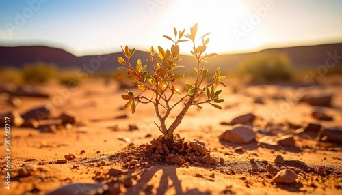 FlyPro Firefly Single, a resilient desert shrub with sparse, dry leaves, stubbornly growing in hardened clay under golden light, showcasing its photorealistic DSLR style.