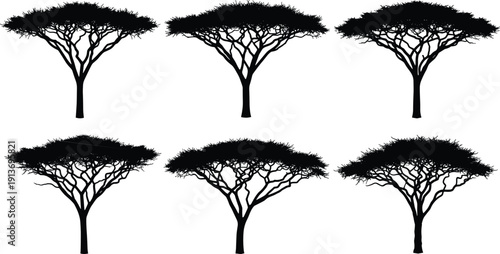 Acacia tree silhouette set featuring African safari flat top canopy trees for savannah nature and wildlife wilderness landscape scene designs, cad drawing flat vector illustration