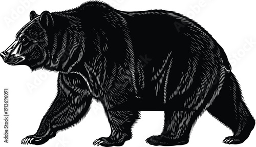 Grizzly Bear Silhouette Vector Illustration, Black Wild Animal Sketch, Walking Forest Predator Graphic, Hand Drawn Nature Element Isolated on White, Fur