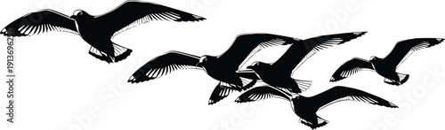 Flock of seagulls flying in the sky, black and white bird silhouettes, ocean wildlife illustration, coastal nature vector, soaring wi