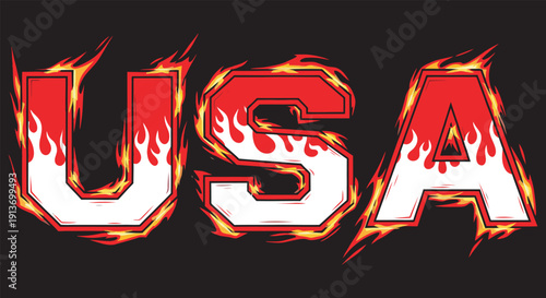Usa text graphic with art and illustrator eps 10