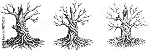 Dead Tree Set Black and White Hand Drawn Illustration. Tree without leaves graphic dead plant black white isolated sketch illustration vector
