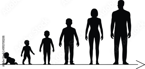 Human growth timeline silhouette from crawling baby to adult man and woman with arrow progression, flat vector illustration