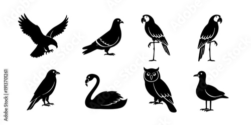 Various bird species depicted in silhouette against a plain background from different viewpoints