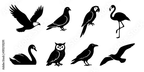 Collection of various bird silhouettes in different poses and species displayed on a clean white background from a straightforward viewpoint