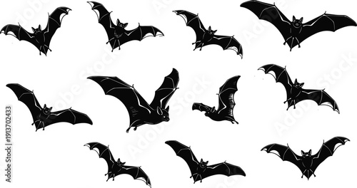 Bat silhouette collection, flying nocturnal mammal poses vector set isolated on white background, Halloween wildlife illustration bundle