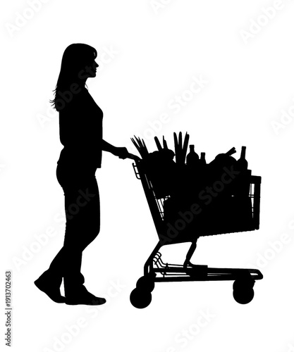 Silhouette Woman Shopping with Groceries in Shopping Cart, Modern Retail Setting