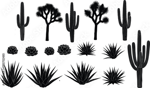 Desert cactus and succulent silhouette collection, saguaro, agave and Joshua tree vector set isolated on white background, western botanical elements