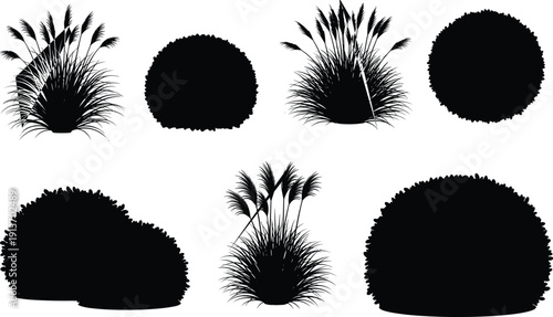 Bush and ornamental grass silhouette collection, garden shrub and meadow plant vector set isolated on white background, landscape design elements