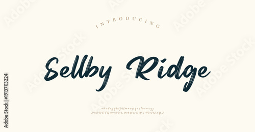 Sellby Ridge, Luxury script alphabet letters font with tails. Typography elegant classic lettering serif fonts and number decorative vintage retro concept for logo branding. vector illustration
