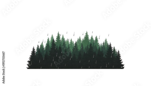 Evergreen Forest Silhouette with Falling Rain on White Background