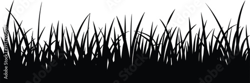 Grass silhouette background illustration, wild meadow grass border texture, nature landscape element isolated white background flat vector design
