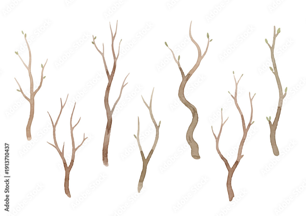 Fototapeta premium Watercolor-style tree branch illustration/木の枝