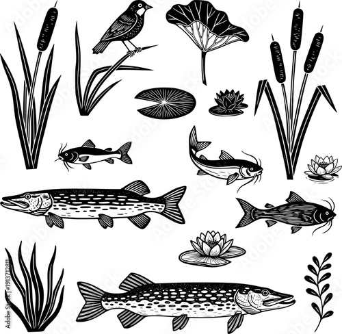 Large vintage monochrome collection of northern pike, catfish, pond plants and bird in linocut engraving style
