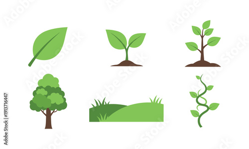 Green plant growth stages silhouette vector illustration. tree sapling sprout line art nature