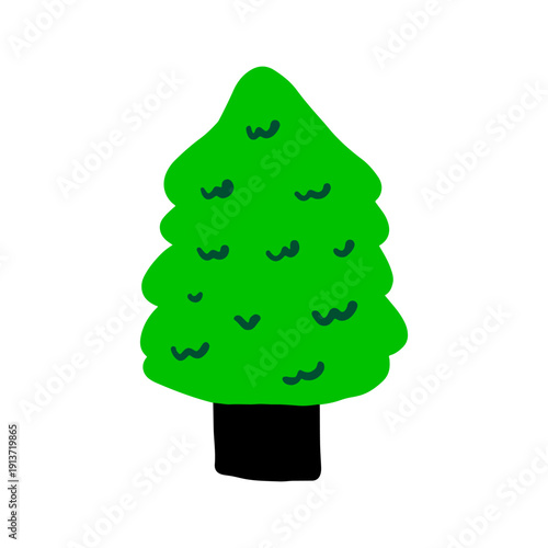 spruce tree graphic design illustration