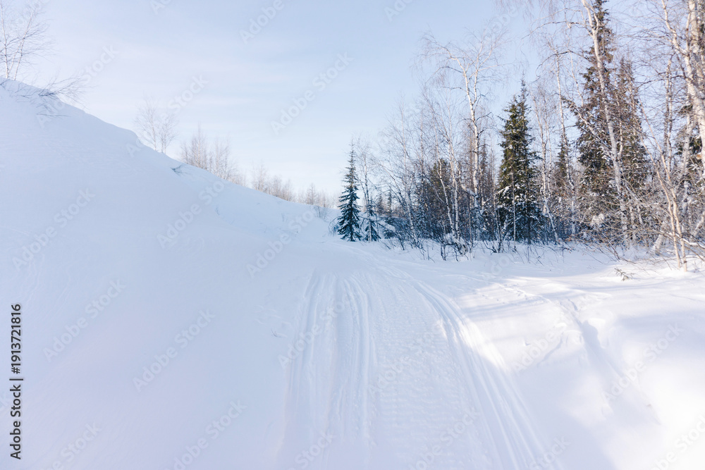 Fototapeta premium winter landscape in the far North on a frosty snowy day
