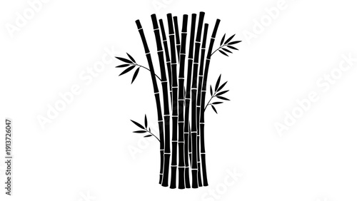 Clean Vector Silhouette of Sleek, Vertical Bamboo Stalks in a Clump. transparent.