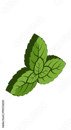 Geometric Isometric Mint Leaf App Icon for Organic Wellness transparent.