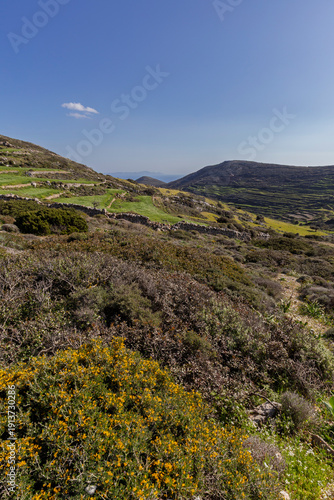 Lush pasture in the mountainous central part of Paros island in Greece on a sunny day.