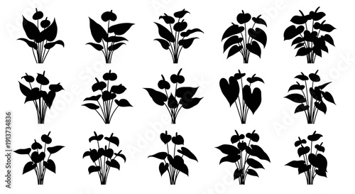 Set of black silhouette plants with leaves and flowers on white background for design