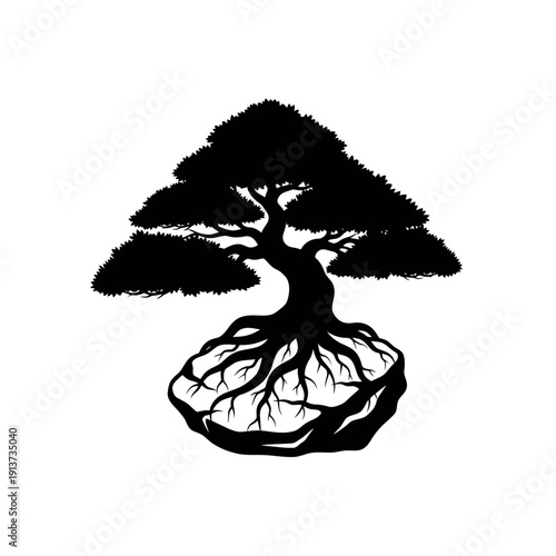 Elegant Black Silhouette of a Bonsai Tree With Roots – Stock Image