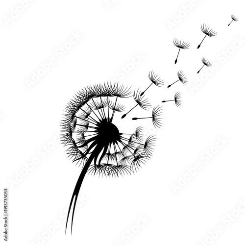 Black Dandelion Seed Head Blowing Seeds Vector Illustration