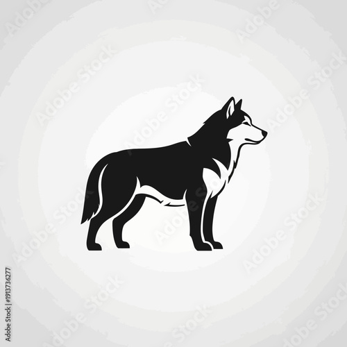 Black and white husky dog silhouette on gray background isolated design