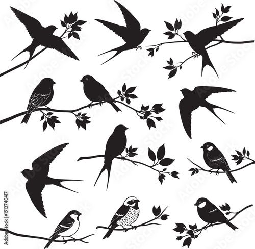 A diverse collection of wild and domestic animal silhouettes and illustrations suitable for nature conservation projects and educational materials.