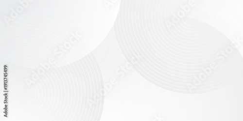 White geometric abstract background overlap layer on bright space with lines effect decoration. Modern graphic design element circles style concept for banner. eps 10