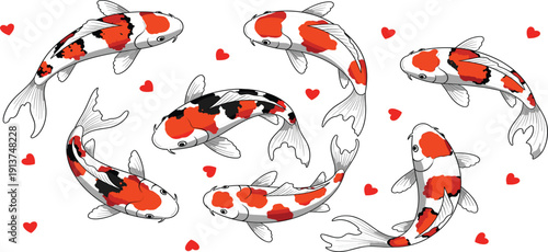 Colorful Japanese Nishikigoi Koi Carp Swimming with Red Hearts for Valentine’s Day, Wedding Invitations, and Romantic Oriental Nature Designs