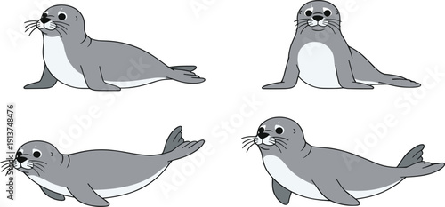 Cute Grey Seal Vector Character Set Featuring Adorable Baby Harp Seals in Various Poses for Marine Life Education Childrens Stickers and Ocean Wildlife Designs