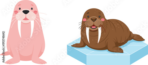 Cute Walrus Vector Character Set Featuring Adorable Pink Mascot and Brown Walrus with Large Tusks Resting on Ice Block for Arctic Wildlife Designs